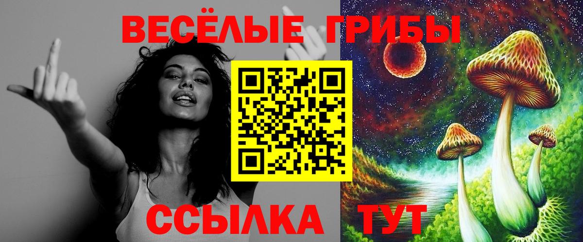 Галлюциногенные грибы Magic Shrooms  Вход с VPN  Щёкино  Псилоцибиновые грибы Psilocybine cubensis 